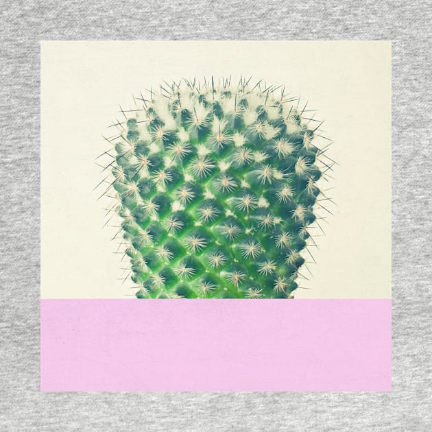 Cactus Dip II by Cassia